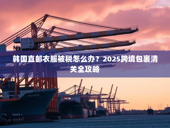 韩国直邮衣服被税怎么办?2025跨境包裹清关全攻略 韩国直邮衣服被税怎么办?2025跨境包裹清关全攻略