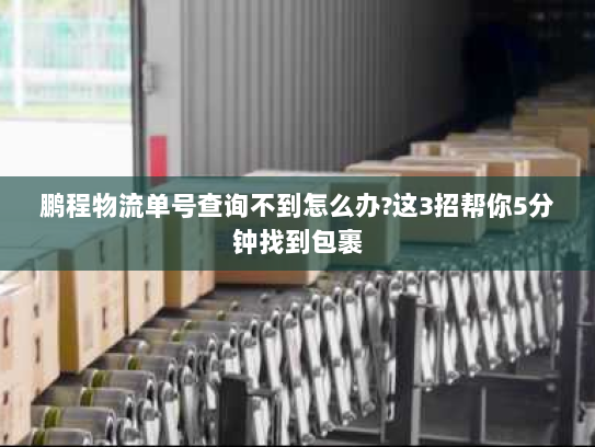 鹏程物流单号查询不到怎么办?这3招帮你5分钟找到包裹