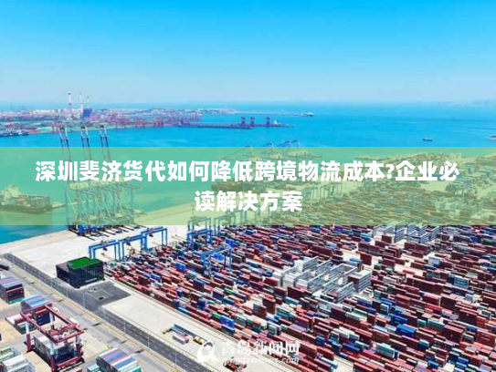 深圳斐济货代如何降低跨境物流成本?企业必读解决方案