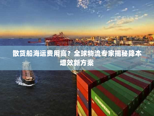 散货船海运费用高？全球物流专家揭秘降本增效新方案