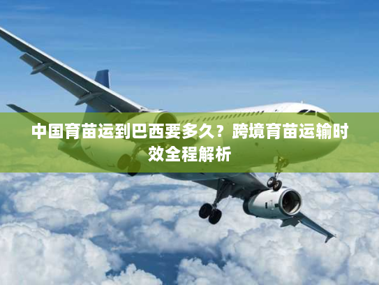 中国育苗运到巴西要多久?跨境育苗运输时效全程解析 中国育苗运到巴西要多久?跨境育苗运输时效全程解析