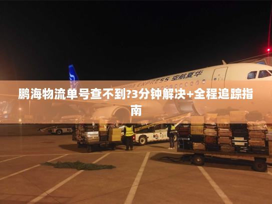 鹏海物流单号查不到?3分钟解决+全程追踪指南 鹏海物流单号查不到?3分钟解决+全程追踪指南
