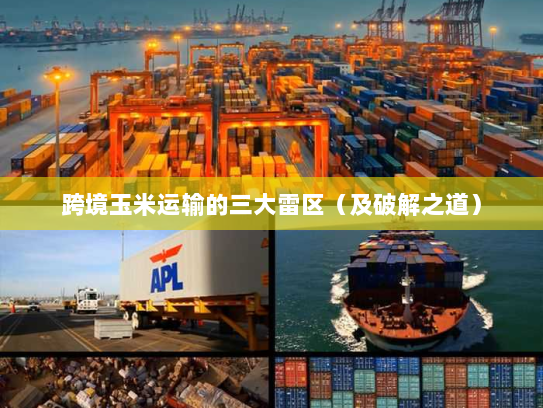 跨境玉米运输的三大雷区（及破解之道）
