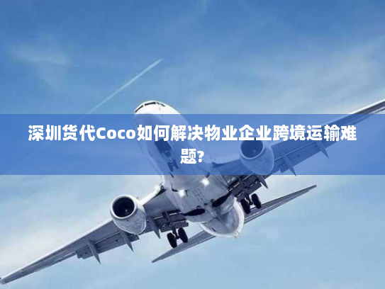深圳货代Coco如何解决物业企业跨境运输难题?