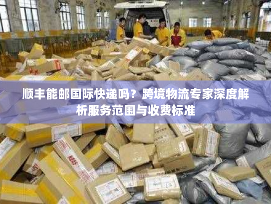 顺丰能邮国际快递吗？跨境物流专家深度解析服务范围与收费标准