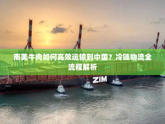南美牛肉如何高效运输到中国?冷链物流全流程解析 南美牛肉如何高效运输到中国?冷链物流全流程解析