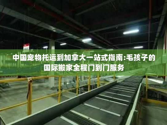 中国宠物托运到加拿大一站式指南:毛孩子的国际搬家全程门到门服务 中国宠物托运到加拿大一站式指南:毛孩子的国际搬家全程门到门服务