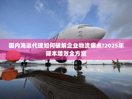 国内海运代理如何破解企业物流痛点?2025年降本增效全方案 国内海运代理如何破解企业物流痛点?2025年降本增效全方案