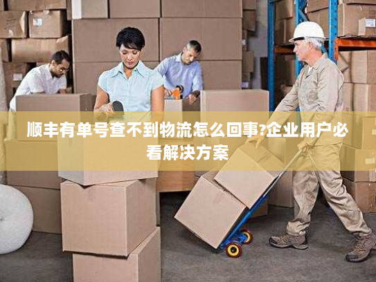 顺丰有单号查不到物流怎么回事?企业用户必看解决方案 顺丰有单号查不到物流怎么回事?企业用户必看解决方案