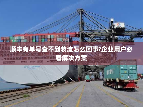 顺丰有单号查不到物流怎么回事?企业用户必看解决方案 顺丰有单号查不到物流怎么回事?企业用户必看解决方案