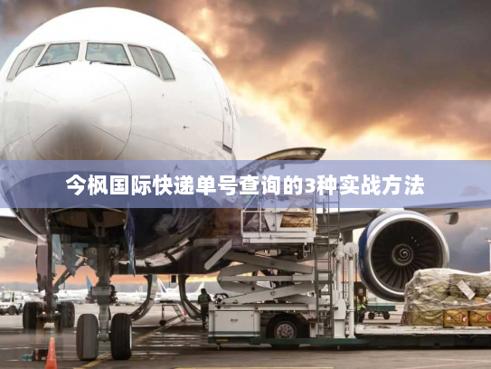 今枫国际快递单号查询的3种实战方法