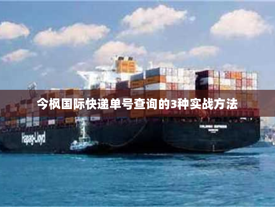 今枫国际快递单号查询的3种实战方法