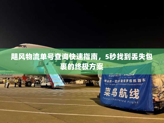 飓风物流单号查询快速指南,5秒找到丢失包裹的终极方案 飓风物流单号查询快速指南,5秒找到丢失包裹的终极方案