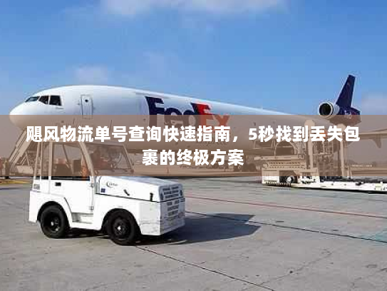 飓风物流单号查询快速指南,5秒找到丢失包裹的终极方案 飓风物流单号查询快速指南,5秒找到丢失包裹的终极方案