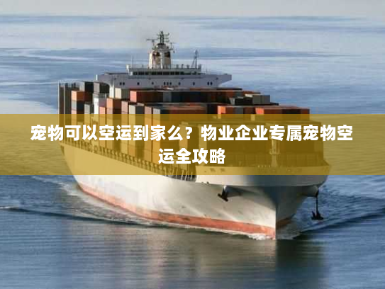 宠物可以空运到家么？物业企业专属宠物空运全攻略