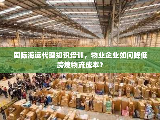 国际海运代理知识培训，物业企业如何降低跨境物流成本？