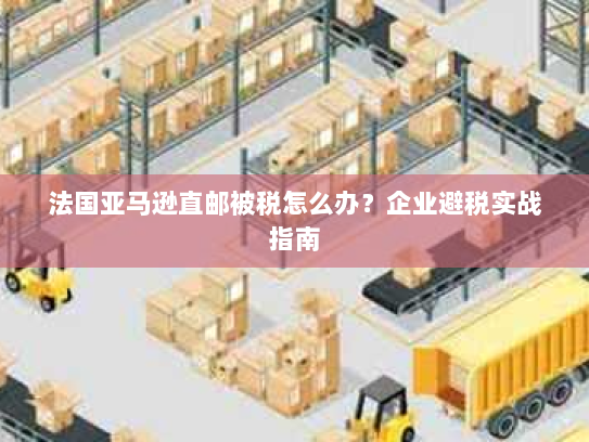法国亚马逊直邮被税怎么办?企业避税实战指南 法国亚马逊直邮被税怎么办?企业避税实战指南