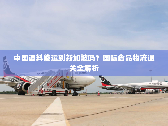 中国调料能运到新加坡吗？国际食品物流通关全解析