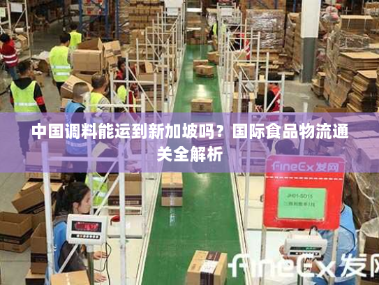 中国调料能运到新加坡吗？国际食品物流通关全解析