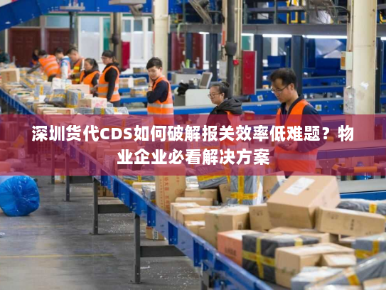 深圳货代CDS如何破解报关效率低难题?物业企业必看解决方案 深圳货代CDS如何破解报关效率低难题?物业企业必看解决方案