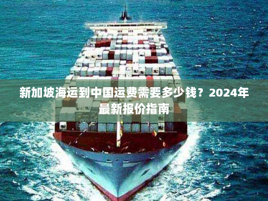 新加坡海运到中国运费需要多少钱？2024年最新报价指南