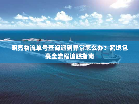 明亮物流单号查询遇到异常怎么办？跨境包裹全流程追踪指南