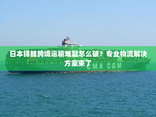 日本锦鲤跨境运输难题怎么破?专业物流解决方案来了 日本锦鲤跨境运输难题怎么破?专业物流解决方案来了