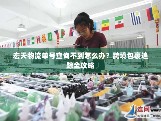 宏天物流单号查询不到怎么办？跨境包裹追踪全攻略