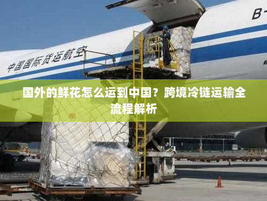 国外的鲜花怎么运到中国?跨境冷链运输全流程解析 国外的鲜花怎么运到中国?跨境冷链运输全流程解析