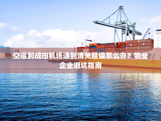 空运到成田机场遇到清关延误怎么办？物业企业避坑指南