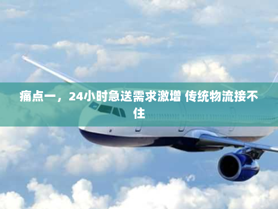 痛点一，24小时急送需求激增 传统物流接不住
