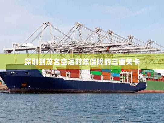 深圳到茂名空运时效保障的三重关卡 深圳到茂名空运时效保障的三重关卡