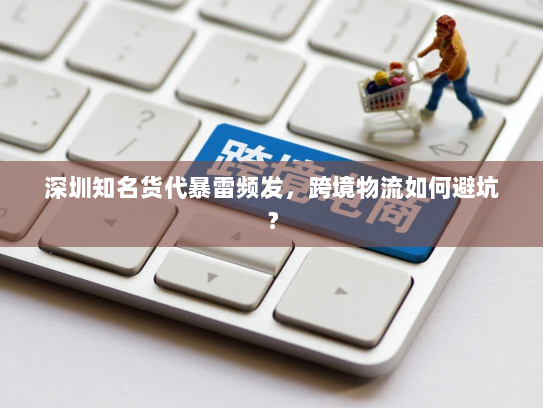 深圳知名货代暴雷频发，跨境物流如何避坑？