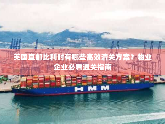 英国直邮比利时有哪些高效清关方案？物业企业必看通关指南