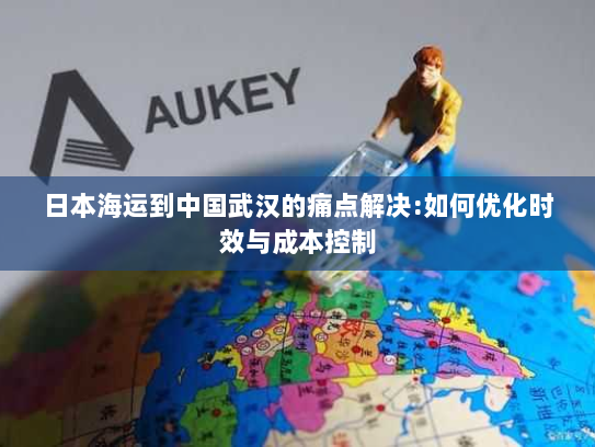 日本海运到中国武汉的痛点解决:如何优化时效与成本控制 日本海运到中国武汉的痛点解决:如何优化时效与成本控制