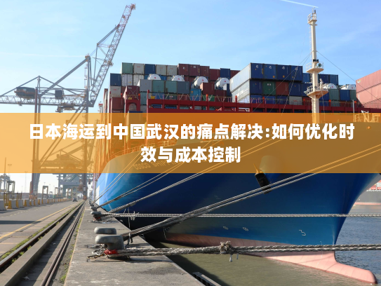 日本海运到中国武汉的痛点解决:如何优化时效与成本控制 日本海运到中国武汉的痛点解决:如何优化时效与成本控制