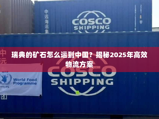 瑞典的矿石怎么运到中国？揭秘2025年高效物流方案