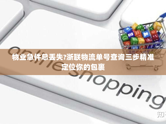 物业急件总丢失?浙联物流单号查询三步精准定位你的包裹 物业急件总丢失?浙联物流单号查询三步精准定位你的包裹