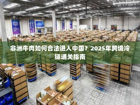 非洲牛肉如何合法进入中国？2025年跨境冷链通关指南