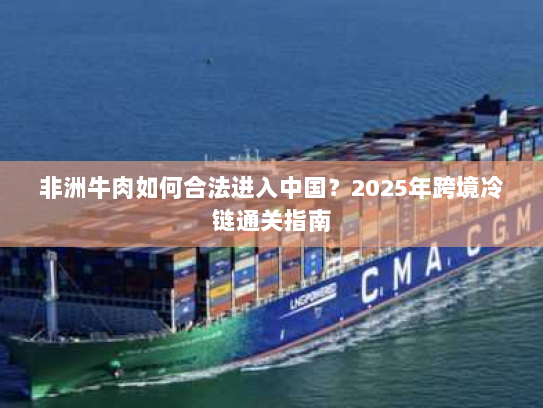 非洲牛肉如何合法进入中国？2025年跨境冷链通关指南