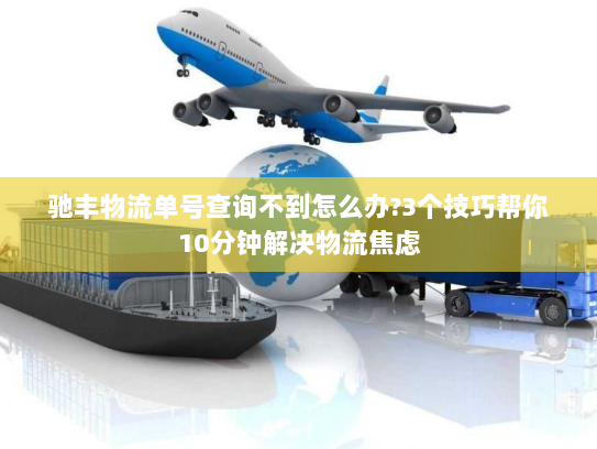 驰丰物流单号查询不到怎么办?3个技巧帮你10分钟解决物流焦虑 驰丰物流单号查询不到怎么办?3个技巧帮你10分钟解决物流焦虑