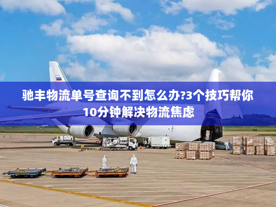 驰丰物流单号查询不到怎么办?3个技巧帮你10分钟解决物流焦虑 驰丰物流单号查询不到怎么办?3个技巧帮你10分钟解决物流焦虑