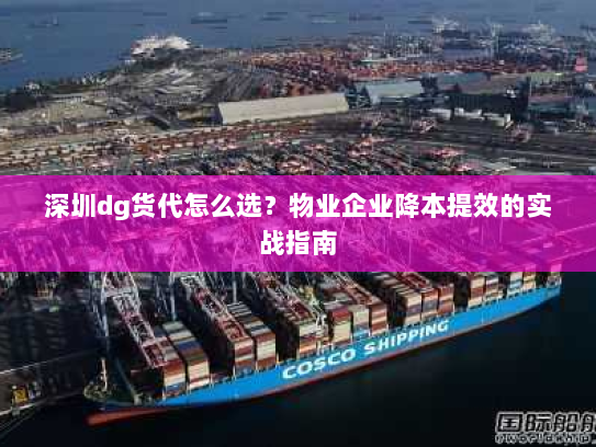 深圳dg货代怎么选？物业企业降本提效的实战指南