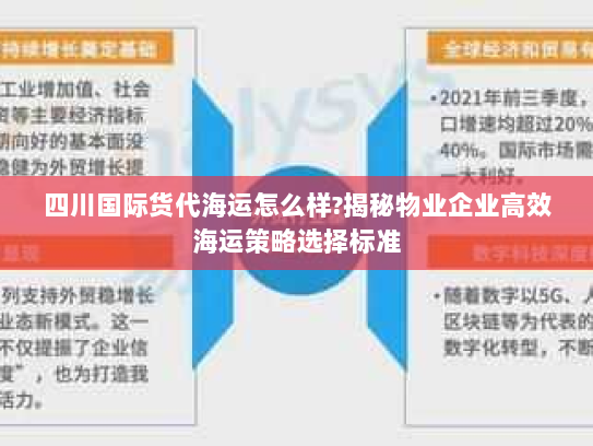 四川国际货代海运怎么样?揭秘物业企业高效海运策略选择标准 四川国际货代海运怎么样?揭秘物业企业高效海运策略选择标准