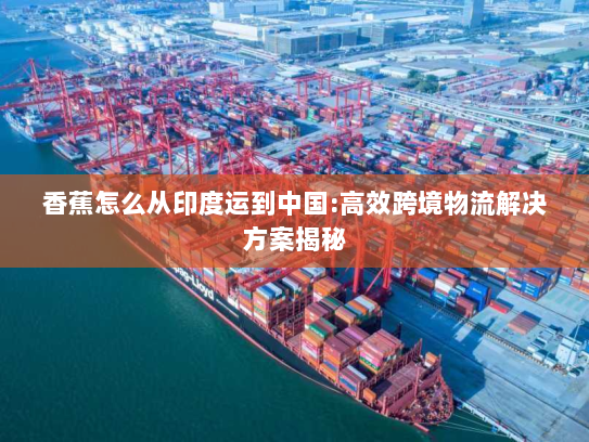 香蕉怎么从印度运到中国:高效跨境物流解决方案揭秘 香蕉怎么从印度运到中国:高效跨境物流解决方案揭秘