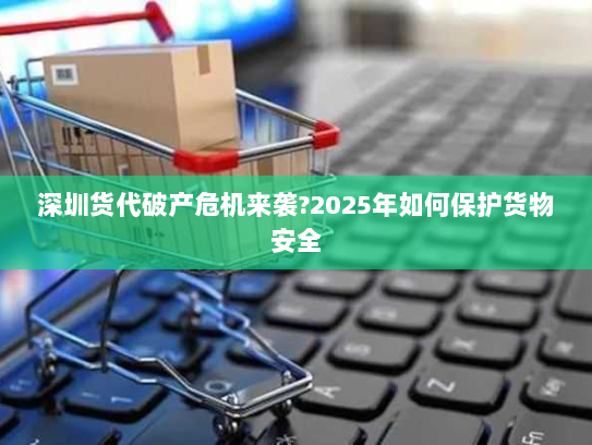 深圳货代破产危机来袭?2025年如何保护货物安全