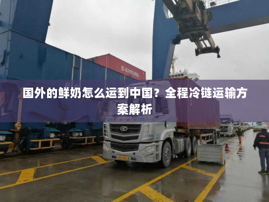国外的鲜奶怎么运到中国？全程冷链运输方案解析