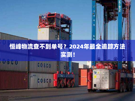 恒峰物流查不到单号？2024年最全追踪方法实测！