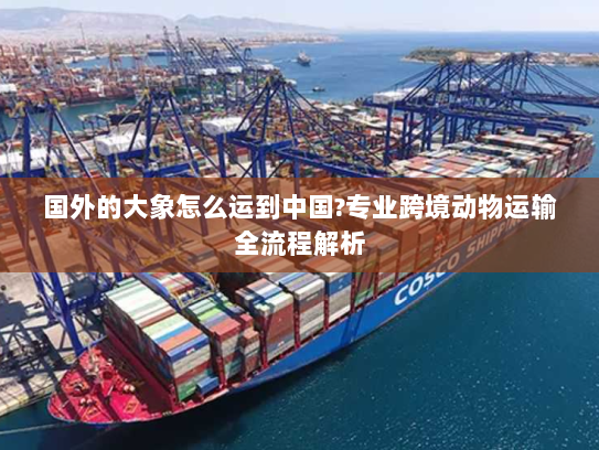 国外的大象怎么运到中国?专业跨境动物运输全流程解析 国外的大象怎么运到中国?专业跨境动物运输全流程解析