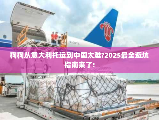 狗狗从意大利托运到中国太难?2025最全避坑指南来了!